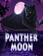 โปรโมชั่นเด็ด สล็อต ฝาก 5 รับ 100 วอ เลทเว็บ โร ม่า ที่ไม่ควรพลาด